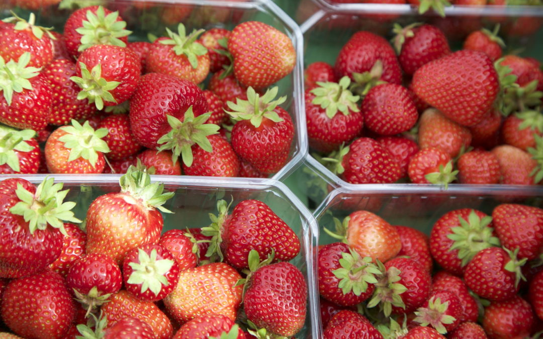 Les fraises sont là !